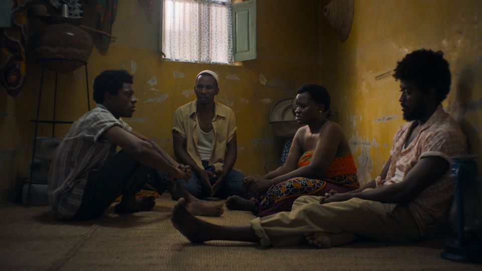 Africa Alive Festival Das Africa Alive Festival präsentiert das